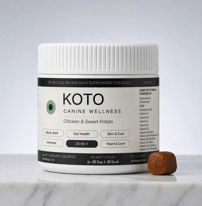 KOTO Daily Canine Wellness